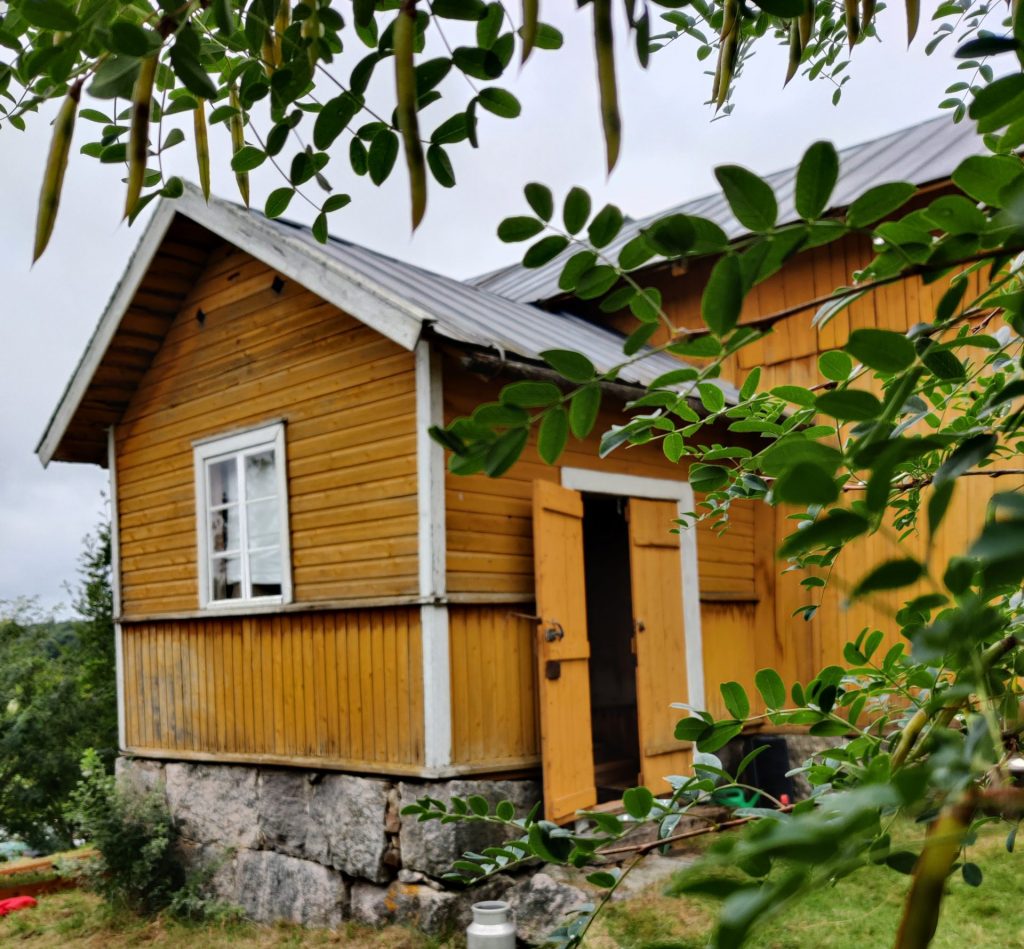 vihreän lehvikön takana keltainen torppa.