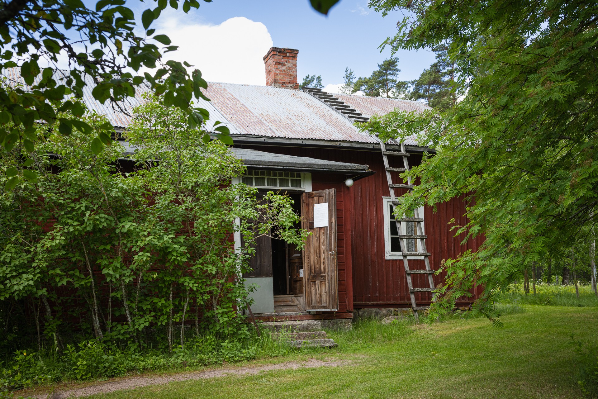 Punainen puutalo puiden lehtien takana. Ulko-ovi on auki. Katolle johtaa puiset tikkaat.