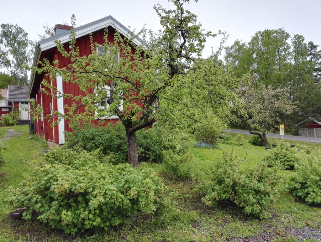 punamullattu torppa pensaiden ja puiden ympäröimänä