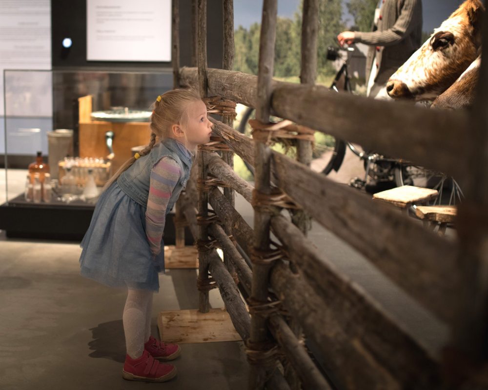 Lapsi tutustuu Sarka-museon Maatalouden aika -näyttelyyn.