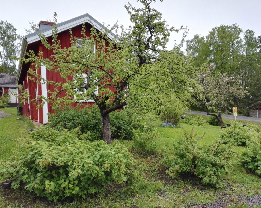 punamullattu torppa pensaiden ja puiden ympäröimänä