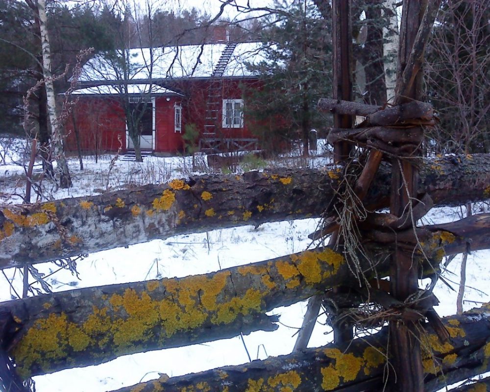 Muurlan kotiseutumuseo Honkalan punainen puutalo on kuvattu aidan takaa talvella.
